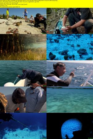 Arte - Cuba: A Paradise on the Brink (2017) 1080p HDTV x264 AAC MVGroup