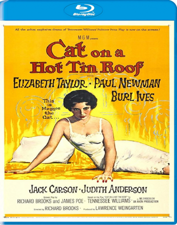 Cat on a Hot Tin Roof 1958 BDRip 1080p X265 Ac3-GANJAMAN
