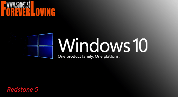 Windows 10 Redstone 5 X64 10in1 OEM en-US March 2019