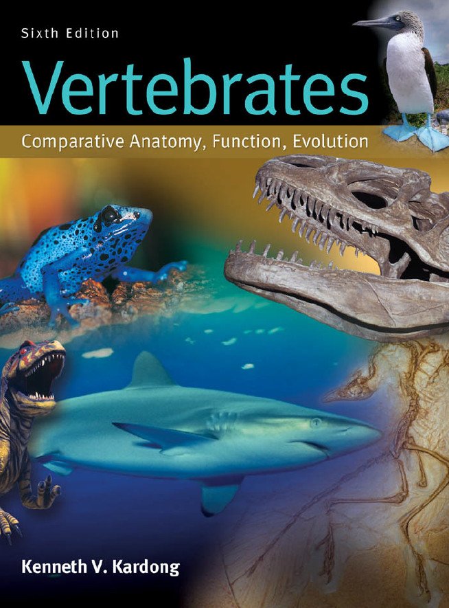 Comparative Anatomy Of Vertebrates Book Free Download
