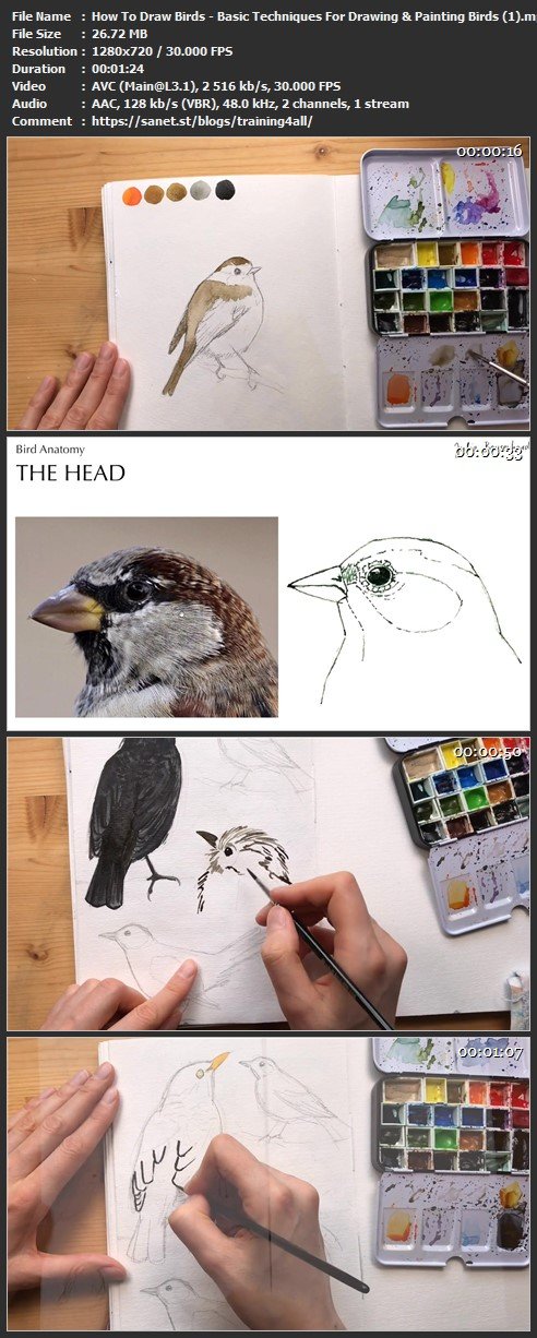 Download How To Draw Birds Basic Techniques For Drawing Painting Birds SoftArchive download-how-to-draw-birds-basic-techniques-for-drawing-painting-birds-softarchive