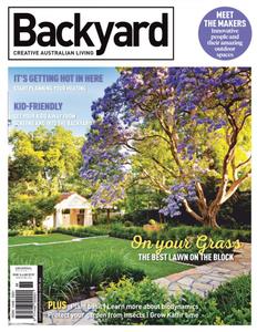 Backyard - March 2019
