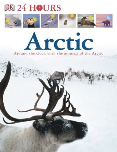 DK 24 Hours: Arctic