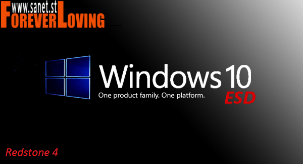 Windows 10 Pro Redstone 4 X64 OEM ESD en-US March 2019