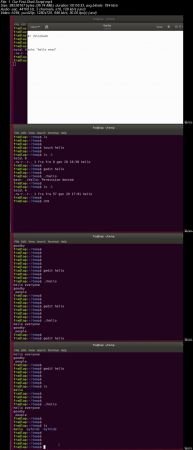 Bash Shell Scripting  Learn By Creating 6 Real World Scripts