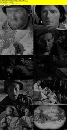 Fixed Bayonets 1951 720p BluRay H264 AAC-RARBG