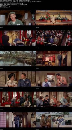 Sayonara 1957 720p BluRay x264-x0r