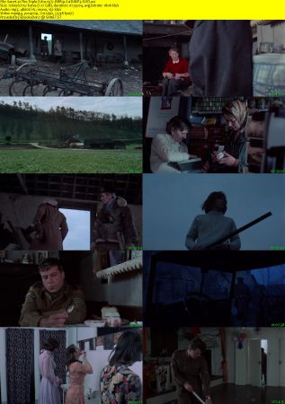 The Triple Echo 1972 BRRip XviD MP3-XVID