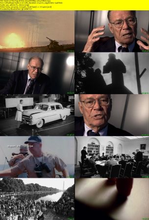 The Fog of War 2003 WEBRip x264-ION10