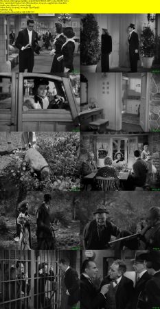 Bringing Up Baby 1938 REMASTERED HDTV x264-REGRET