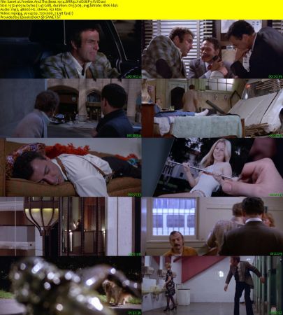Freebie And The Bean 1974 BRRip XviD MP3-XVID