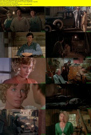 The Moonshine War 1970 DVDRip x264 NoGrp