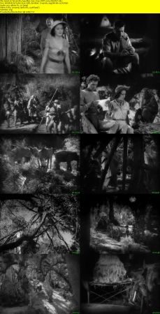 Tarzan the Ape Man 1932 720p HDTV x264-REGRET