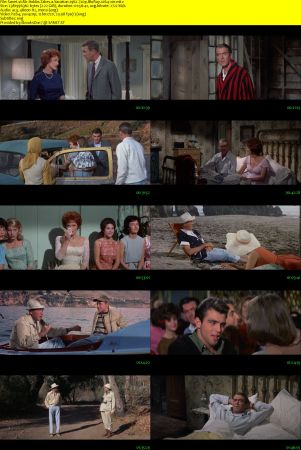 Mr. Hobbs Takes a Vacation 1962 720p BluRay x264-x0r