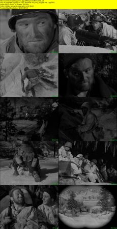 Fixed Bayonets 1951 BRRip XviD MP3-XVID