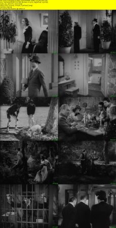 Bringing Up Baby 1938 iNTERNAL BDRip x264-REGRET