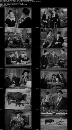The Bullfighters 1945 720p BluRay x264-x0r