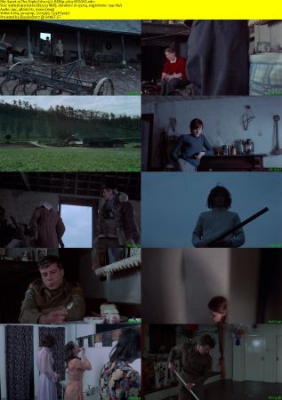 The Triple Echo 1972 BDRip x264-SPOOKS