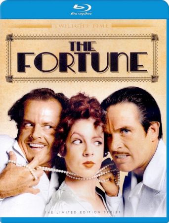 The Fortune 1975 1080p BluRay x264-OFT