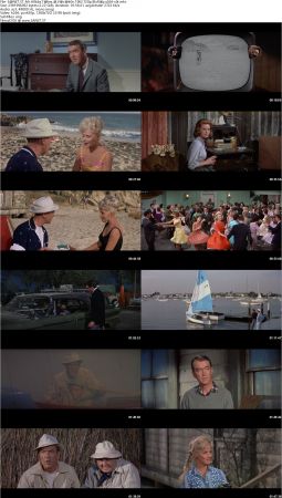 Mr Hobbs Takes a Vacation 1962 720p BluRay x264-x0r