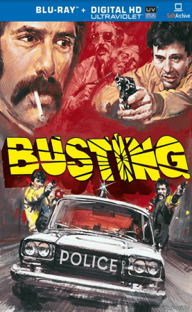 Busting 1974 720p BluRay x264-x0r