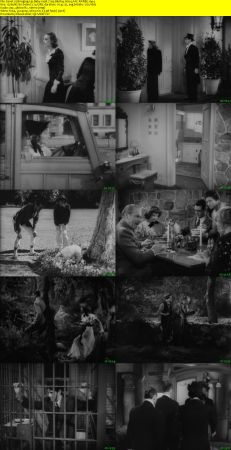 Bringing Up Baby 1938 720p BluRay H264 AAC-RARBG
