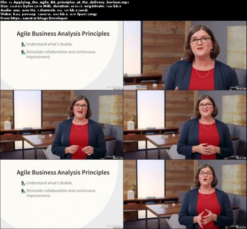Cert Prep: Agile Analysis (IIBA®-AAC)