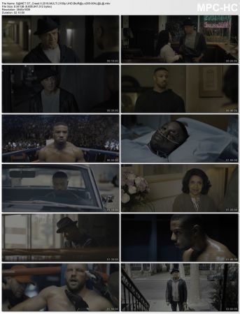 Creed II 2018 MULTi 2160p UHD BluRay x265-OohLaLa