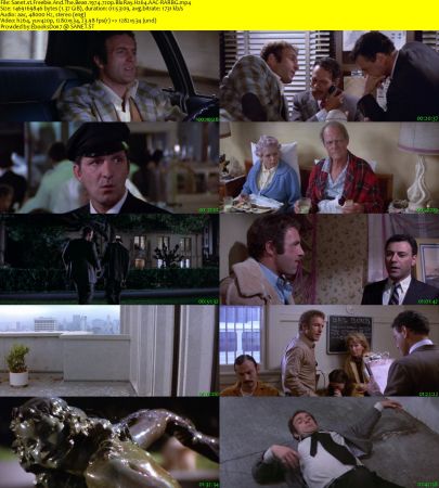 Freebie And The Bean 1974 720p BluRay H264 AAC-RARBG