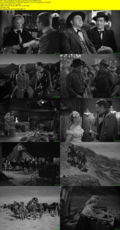 Virginia City 1940 720p HDTV x264-REGRET