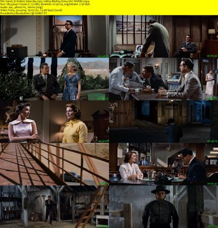 Violent Saturday 1955 1080p BluRay H264 AAC-RARBG