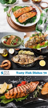 Photos   Tasty Fish Dishes 70