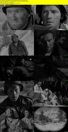 Fixed Bayonets 1951 1080p BluRay H264 AAC-RARBG