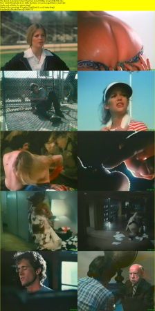 Summer School Teachers 1974 DVDRip x264-HANDJOB