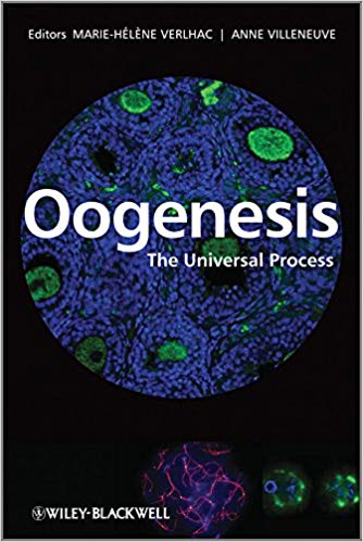Oogenesis: The Universal Process