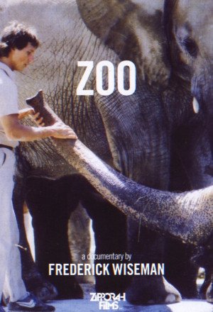 Zoo 1993 1080p WEB-DL.x264