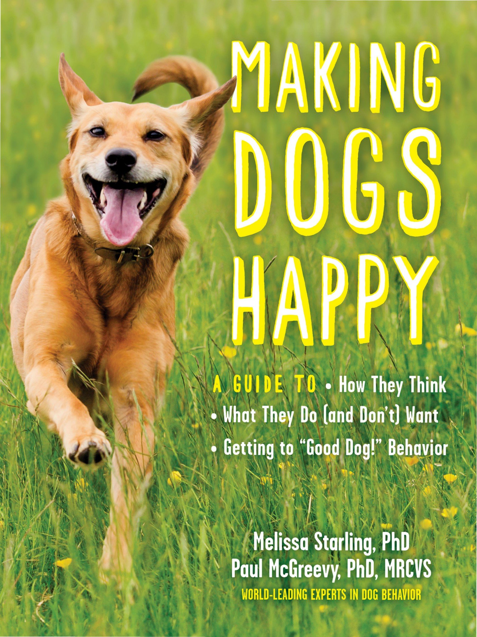 Download Making Dogs Happy A Guide to How They Think