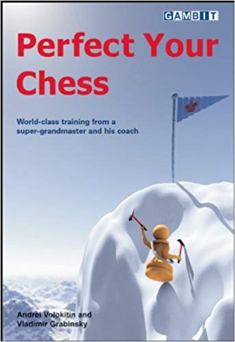 Perfect Your Chess, by Andrei Volokitin