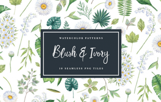Blush & Ivory - Seamless Patterns