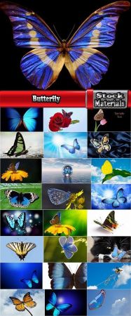 Butterfly macro conceptual illustration nature plant flower 25 HQ Jpeg