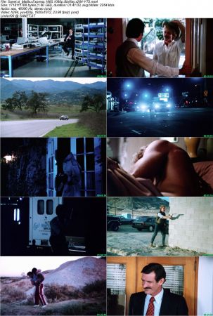 Malibu Express 1985 1080p BluRay x264-YTS