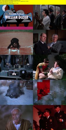 Batman S01 BDRip x264-DEiMOS