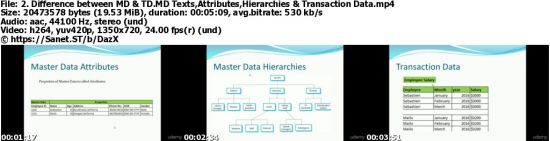 SAP Business Planning and Consolidation(SAP BPC) 10.1