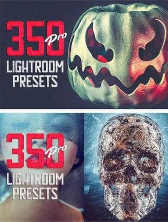 CreativeMarket - Pro Lightroom Presets Bundle