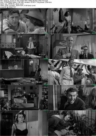 A Face In The Crowd 1957 1080p BluRay x264-YTS