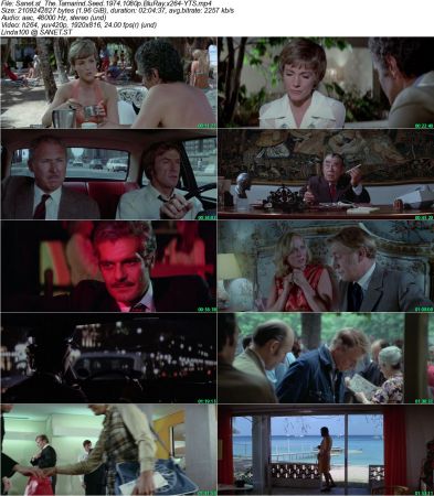 The Tamarind Seed 1974 1080p BluRay x264-YTS