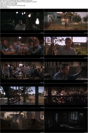 IMDB 2019 Top 250 Part 4 151-200 720p BluRay X264-X0r