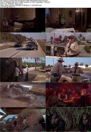 Smokey And The Bandit II 1980 720p BluRay x264-YTS