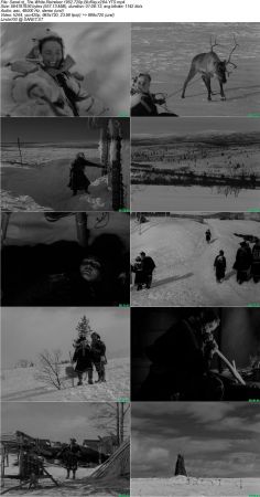 The White Reindeer 1952 720p BluRay x264-YTS