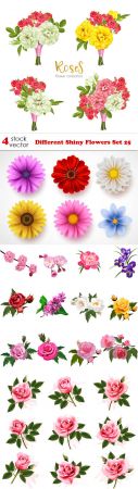 Vectors - Different Shiny Flowers Set 25
